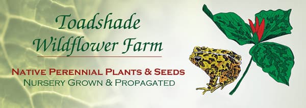 Toadshade Wildflower Farm LLC