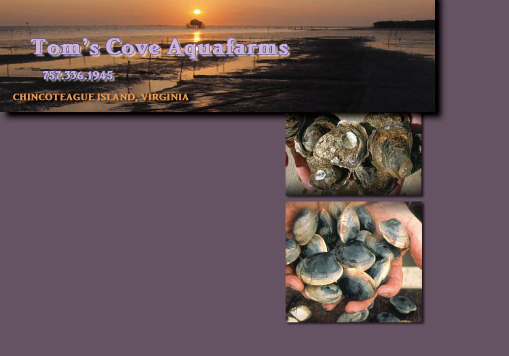 Tom's Cove Aquafarms