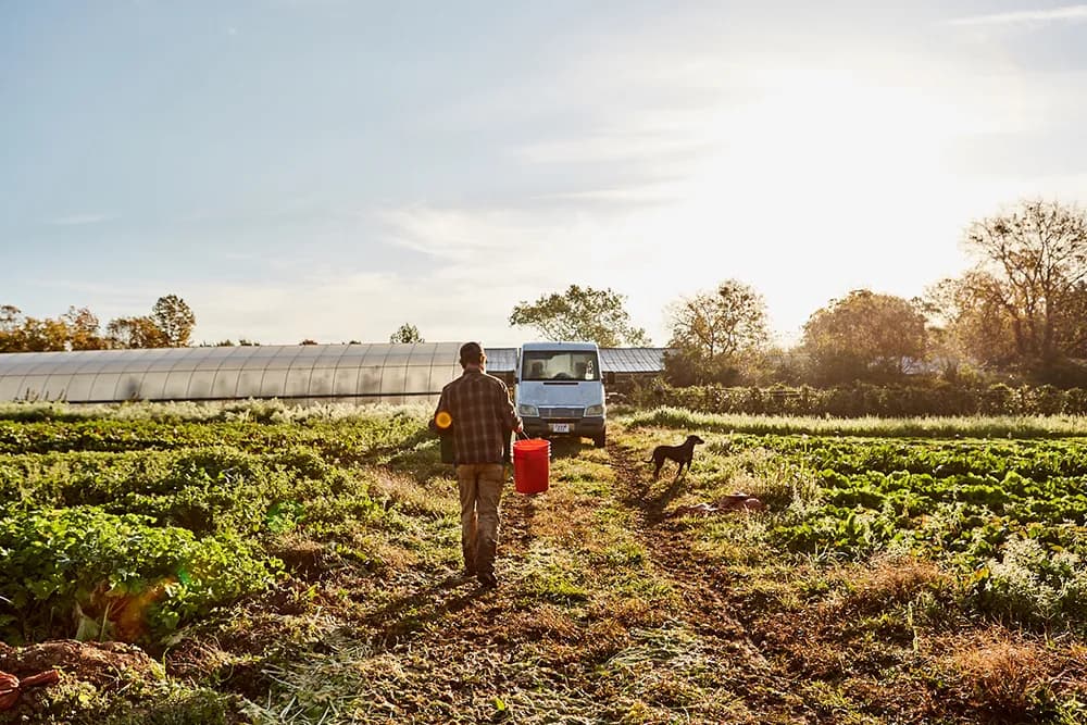 Tomten Farm