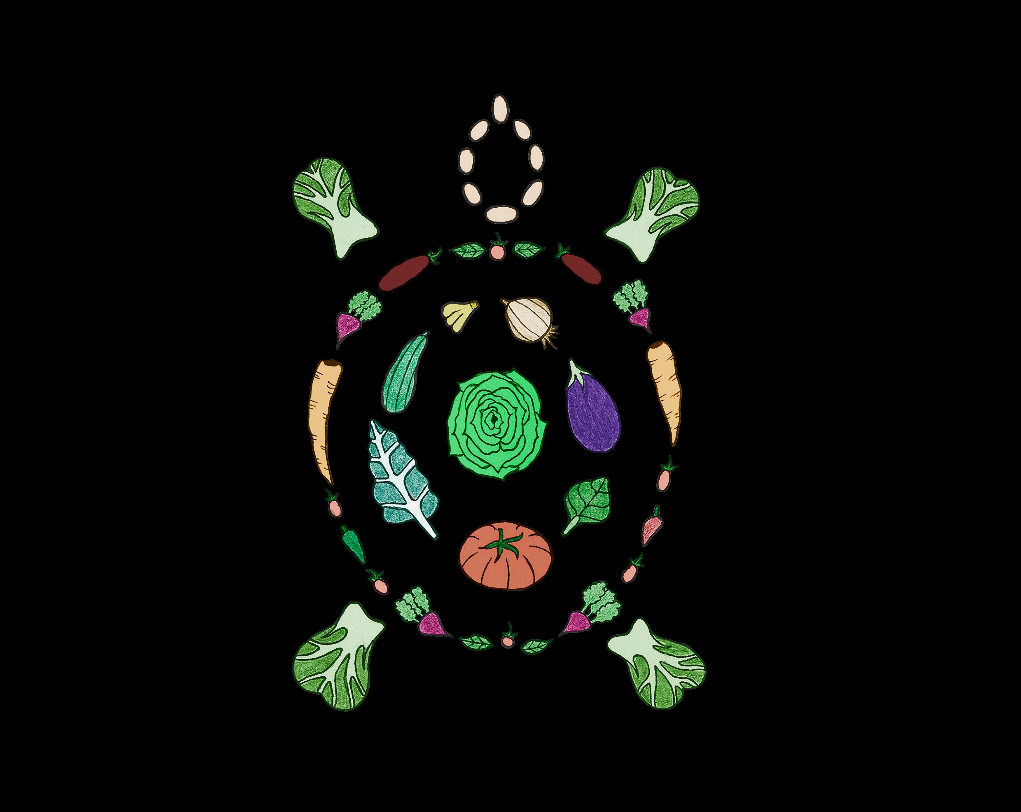 Tortoise & Hare Farm