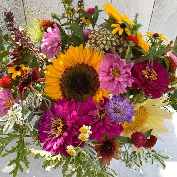 Trails End Flower Farm photo 2