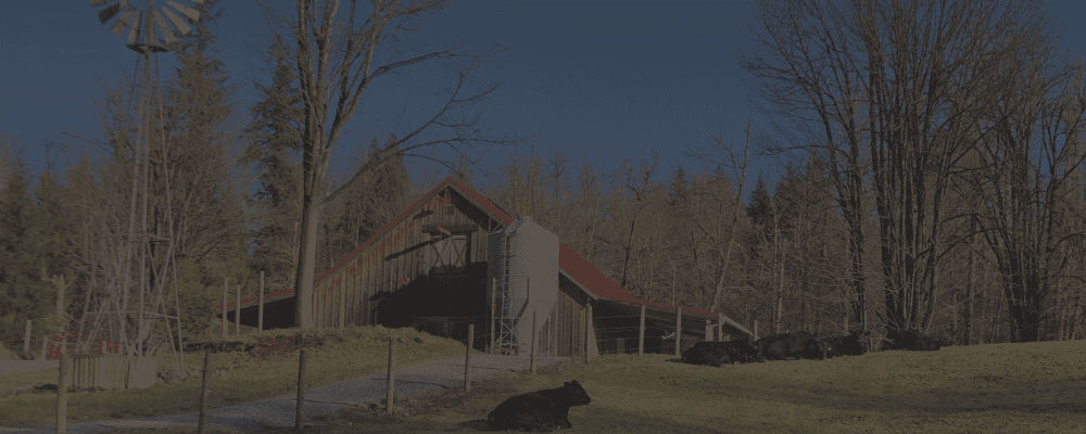 Treeline Farms photo 2