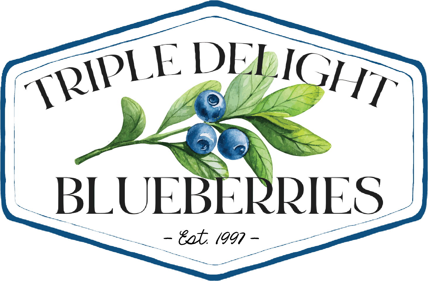 Triple Delight Blueberries photo 2