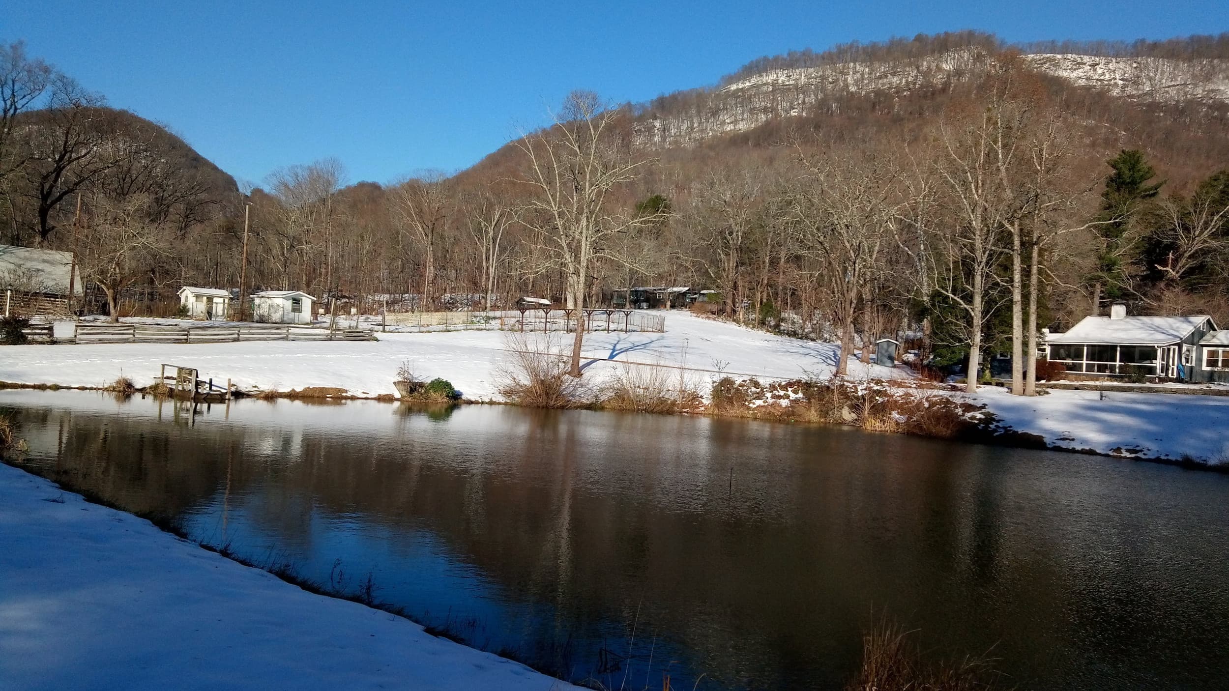 Tryon Mountain Farms
