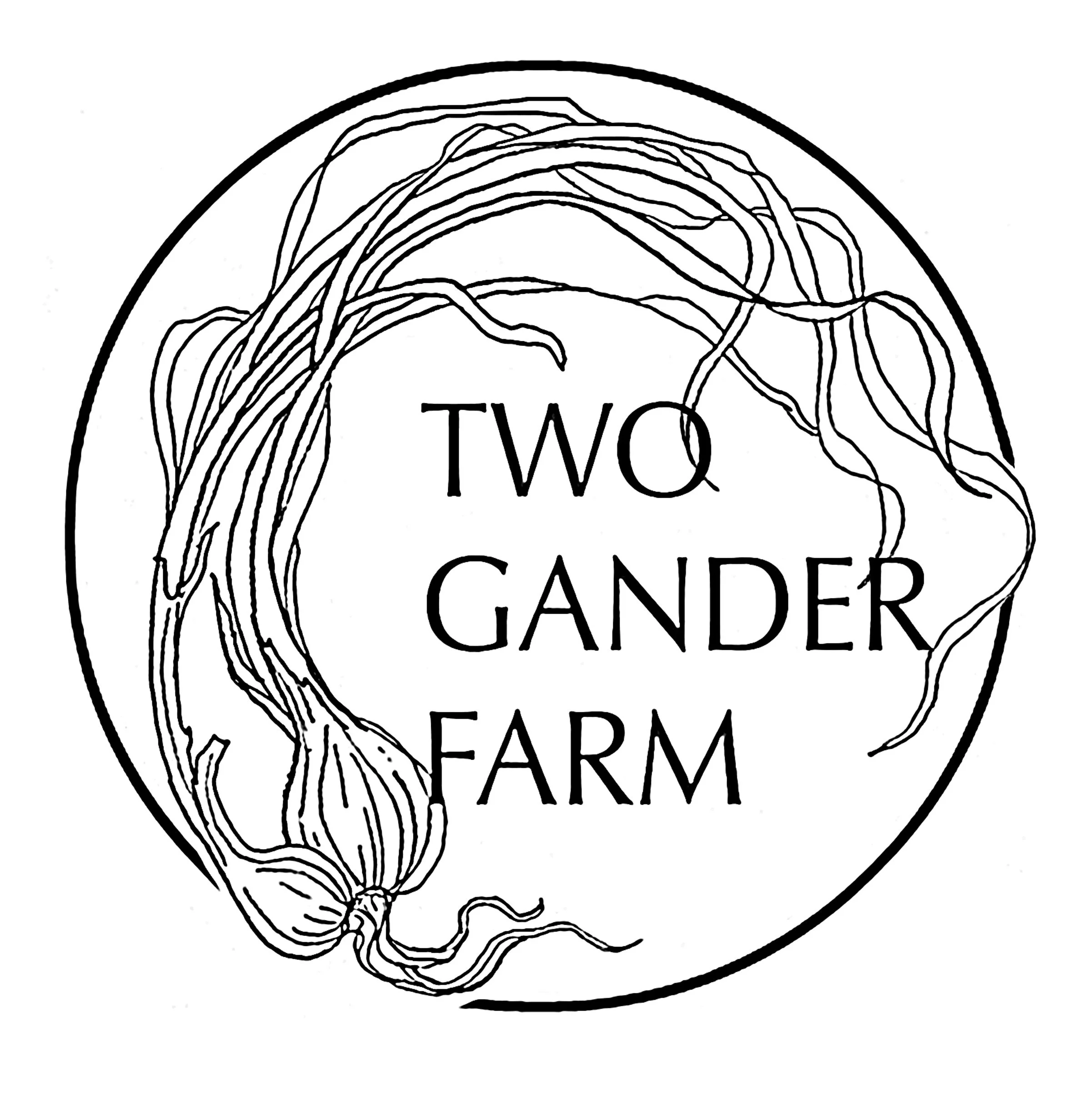 Two Gander Farm photo 2