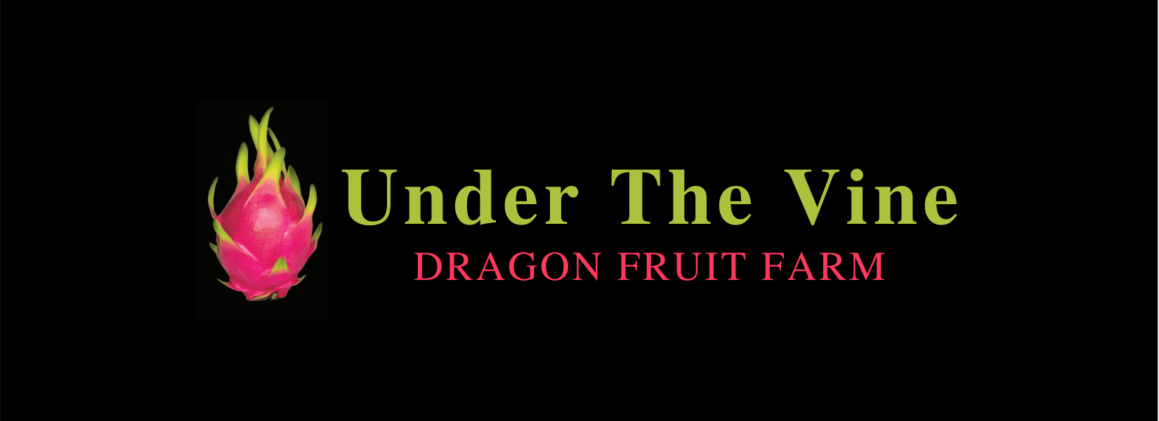 Under The Vine - Dragon Fruit Farm photo 2