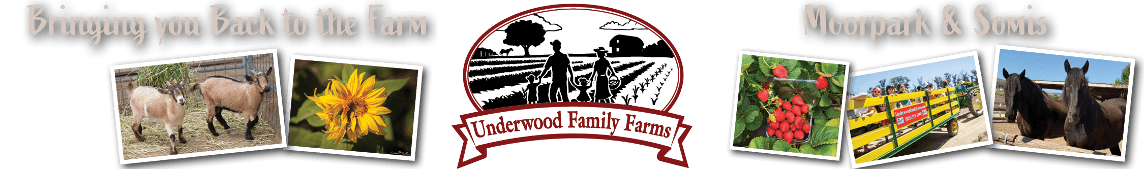Underwood Family Farms photo 2