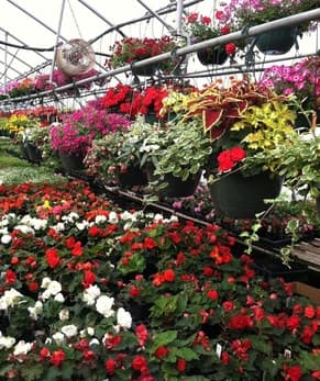 Urban Farm and Greenhouse