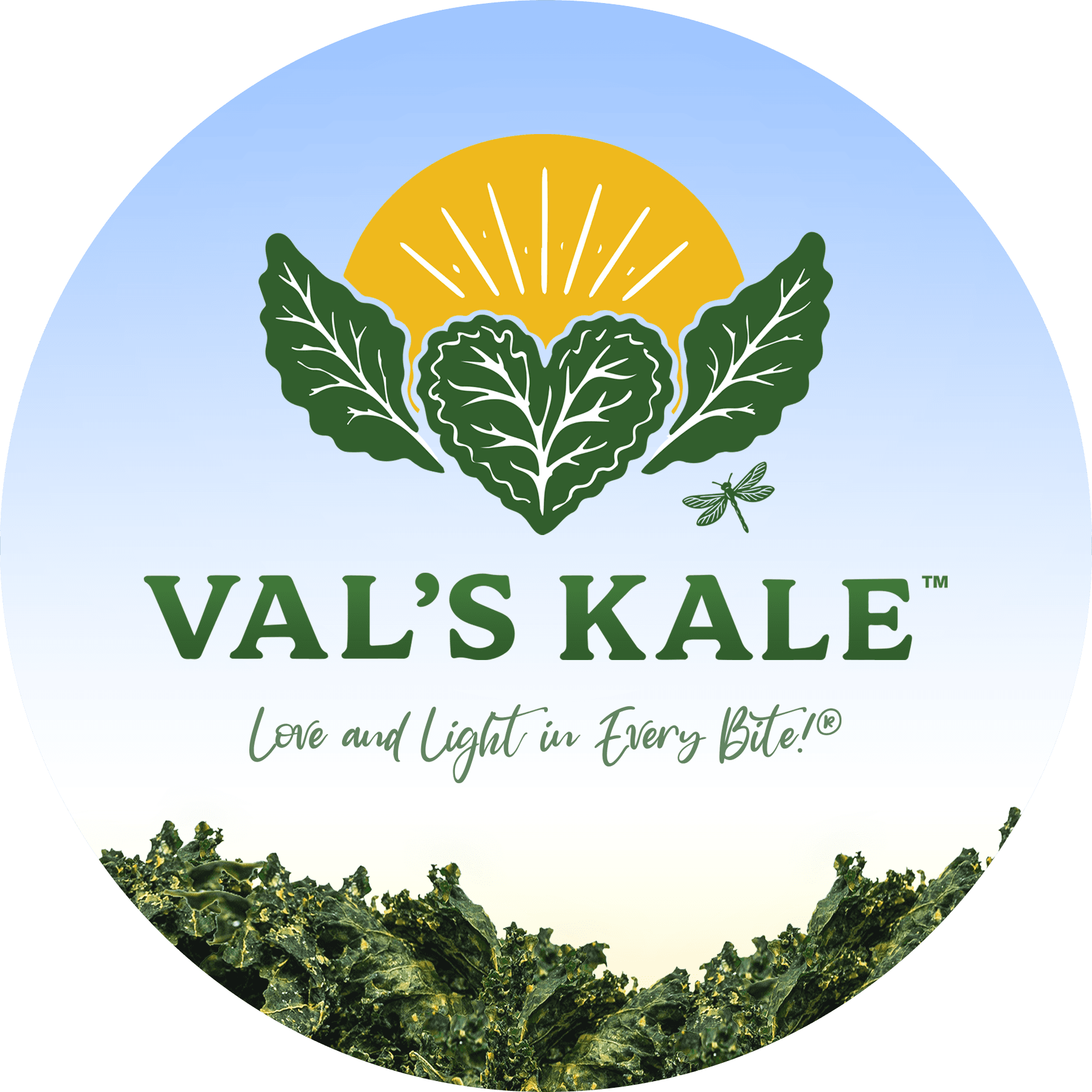 Val's Kale Chips photo 2