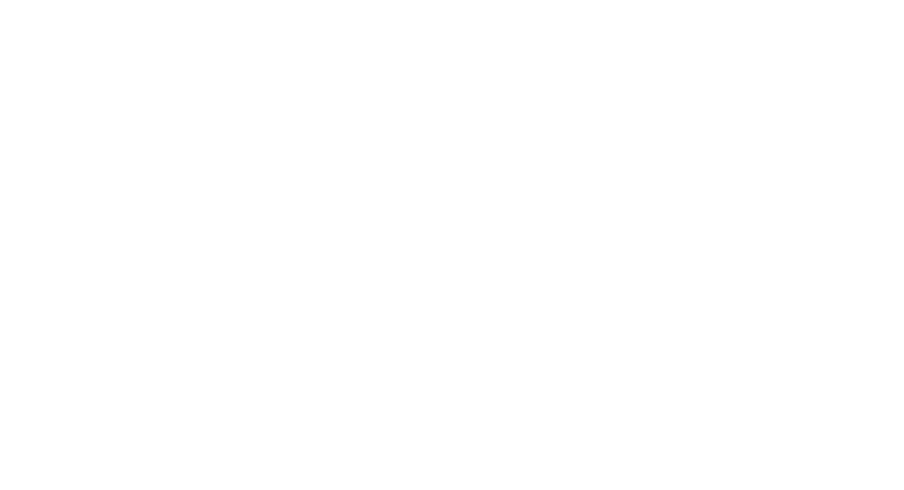 Vargo Brother Ferments