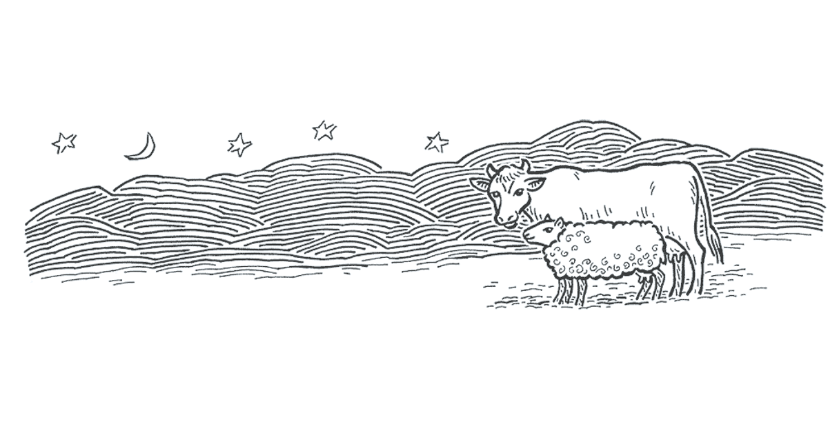 Vermont Shepherd photo 2