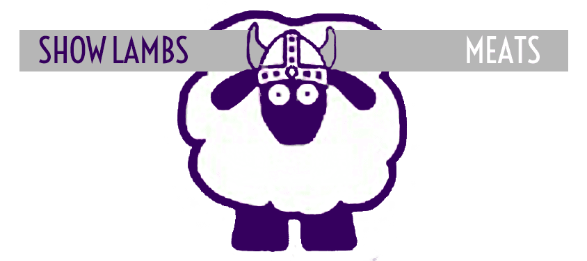Viking Lamb photo 2