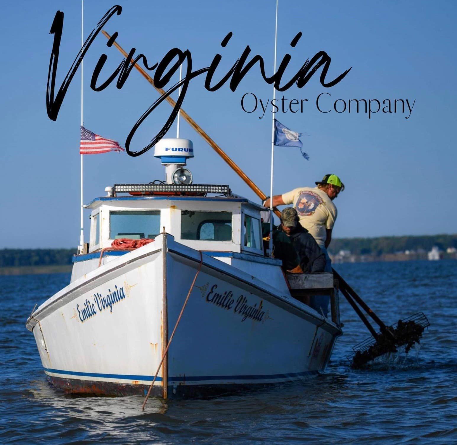 Virginia Oyster Company