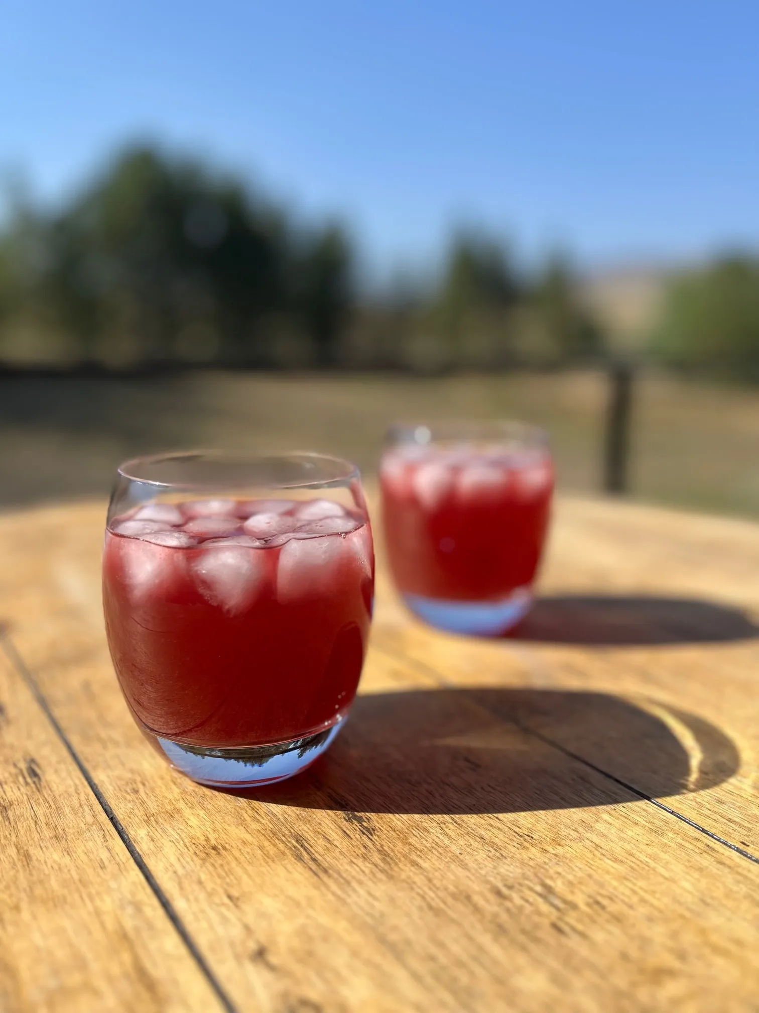VOXY Shrub
