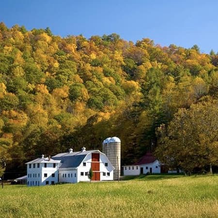 Wag Valley Farm