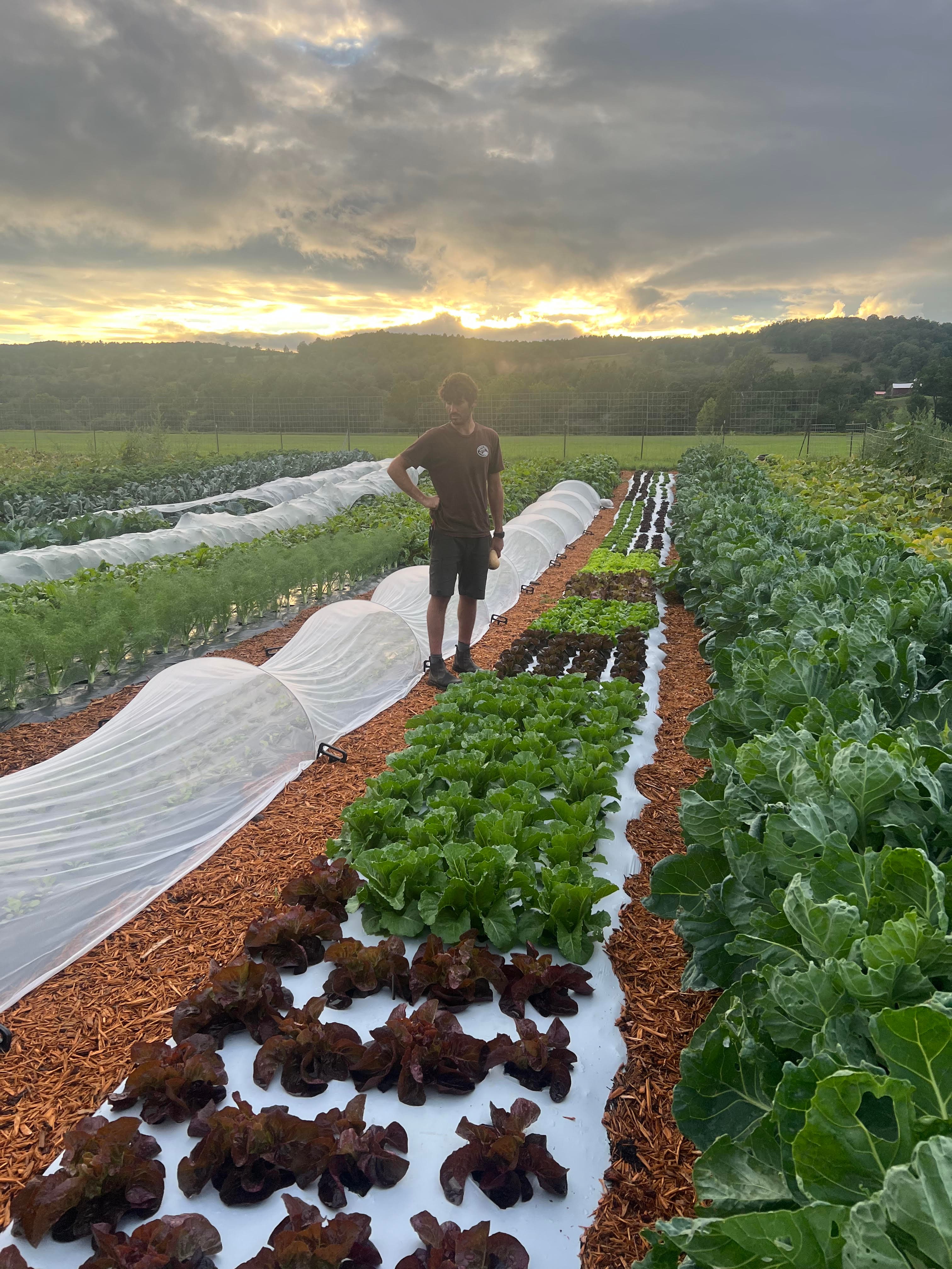 Wander Creek Farm photo 2