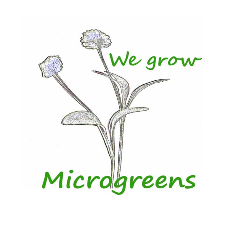 WeGrowMicrogreens photo 2