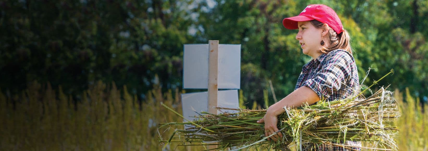 West Virginia University Organic Farm