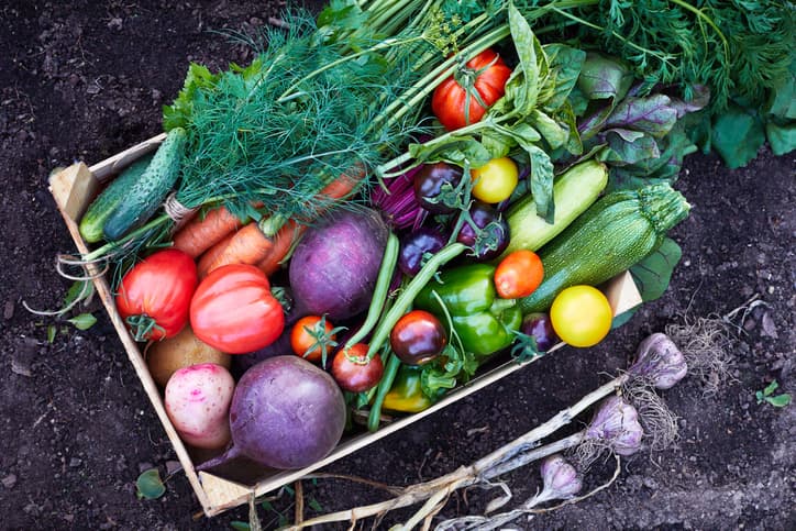 Westmoreland Produce