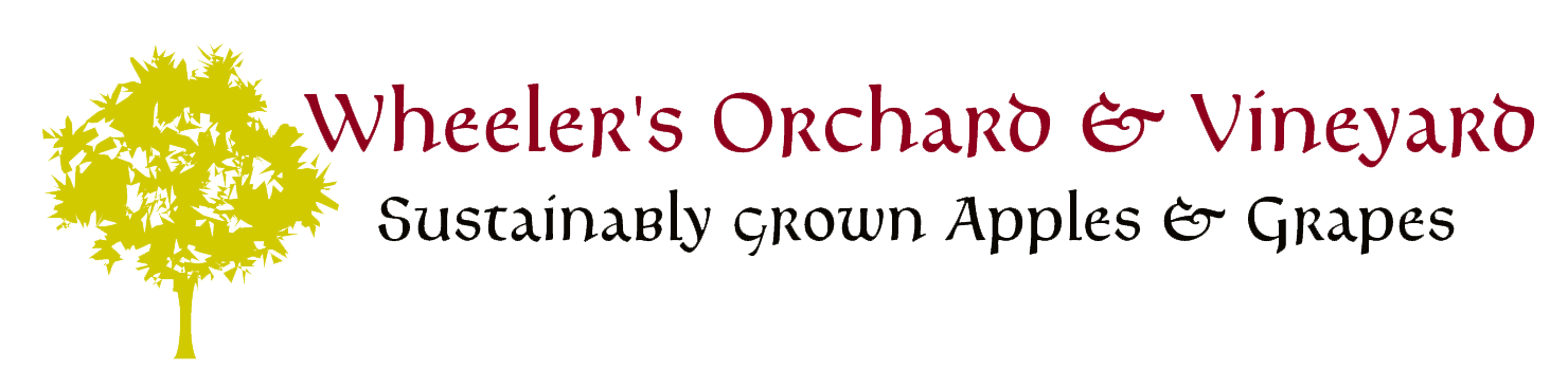 Wheeler's Orchard & Vineyard photo 2