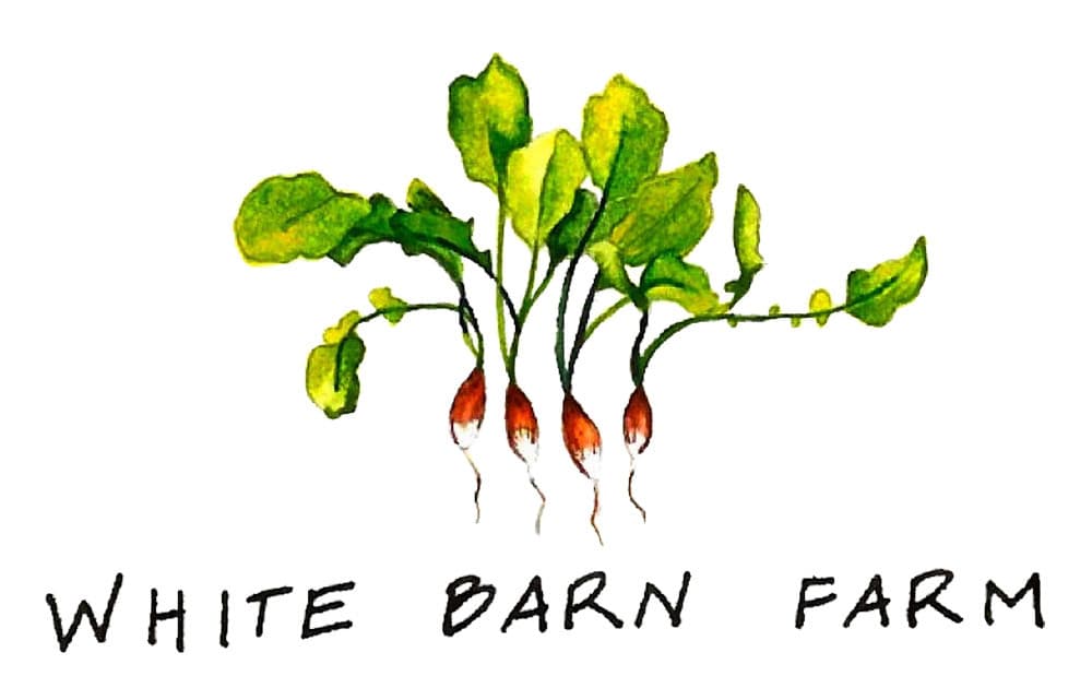 White Barn Farm photo 2