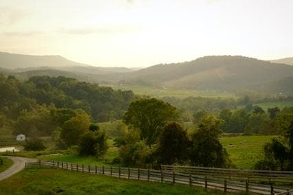 Whitegate Farm photo 2