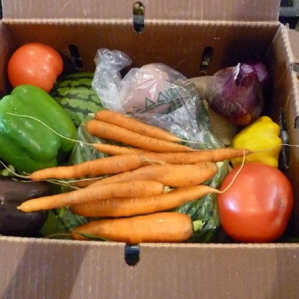 Wholesome Harvest
