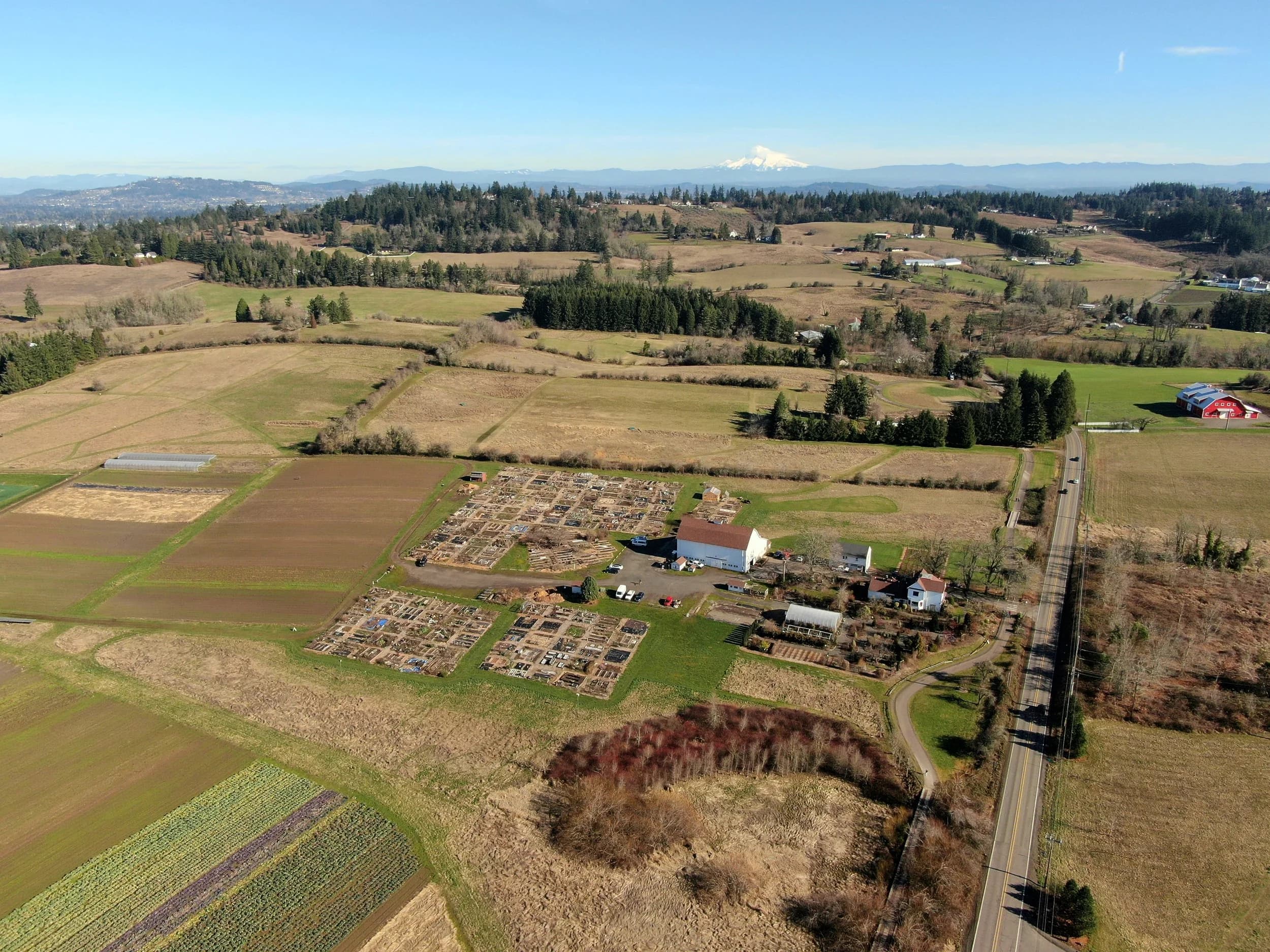 Wild Geese farm