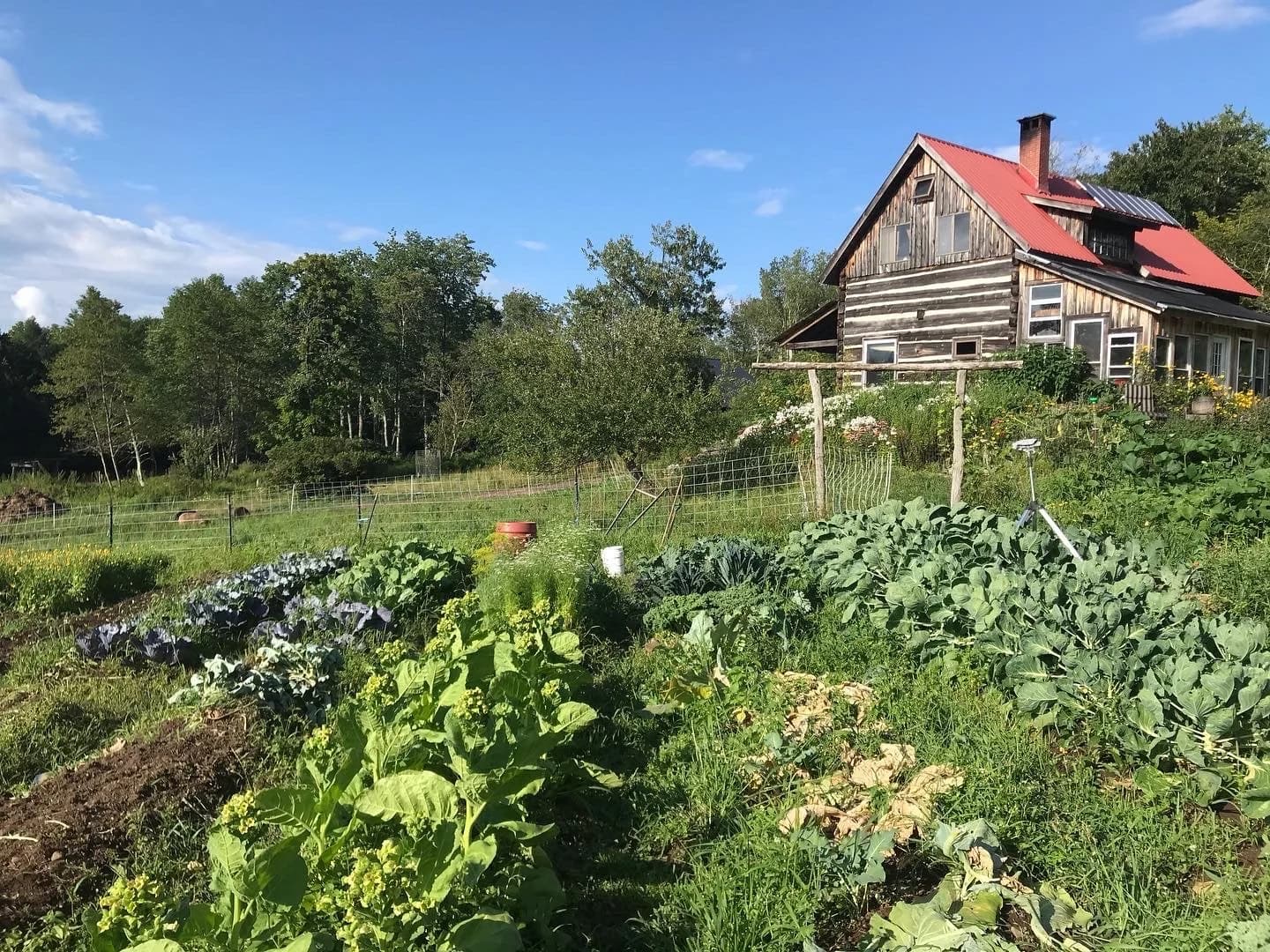 Wild Roots Farm