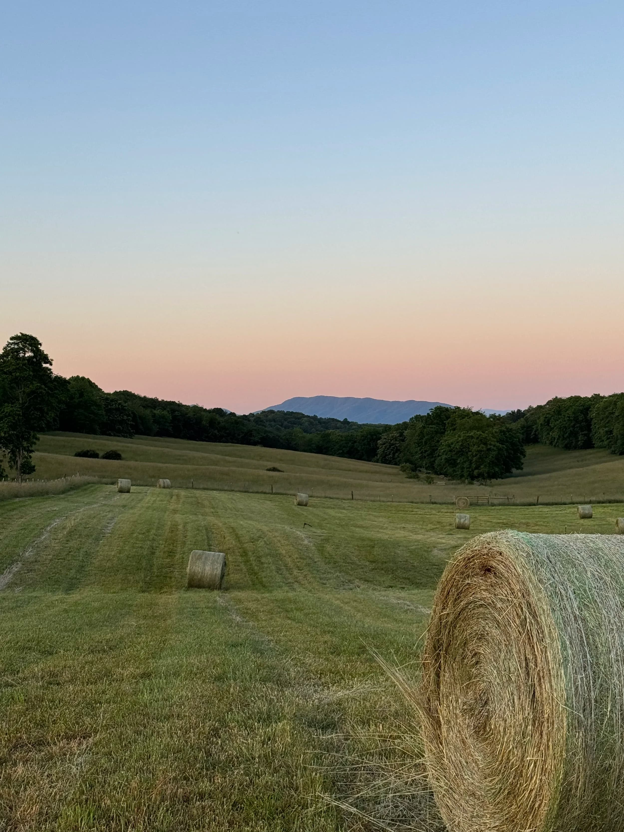 Williamson Farms