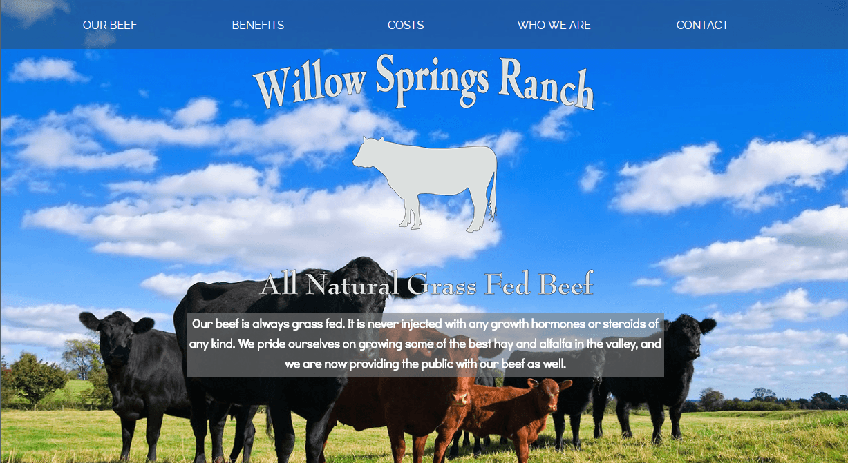 Willow Springs Ranch - Natural, Grass Fed Beef