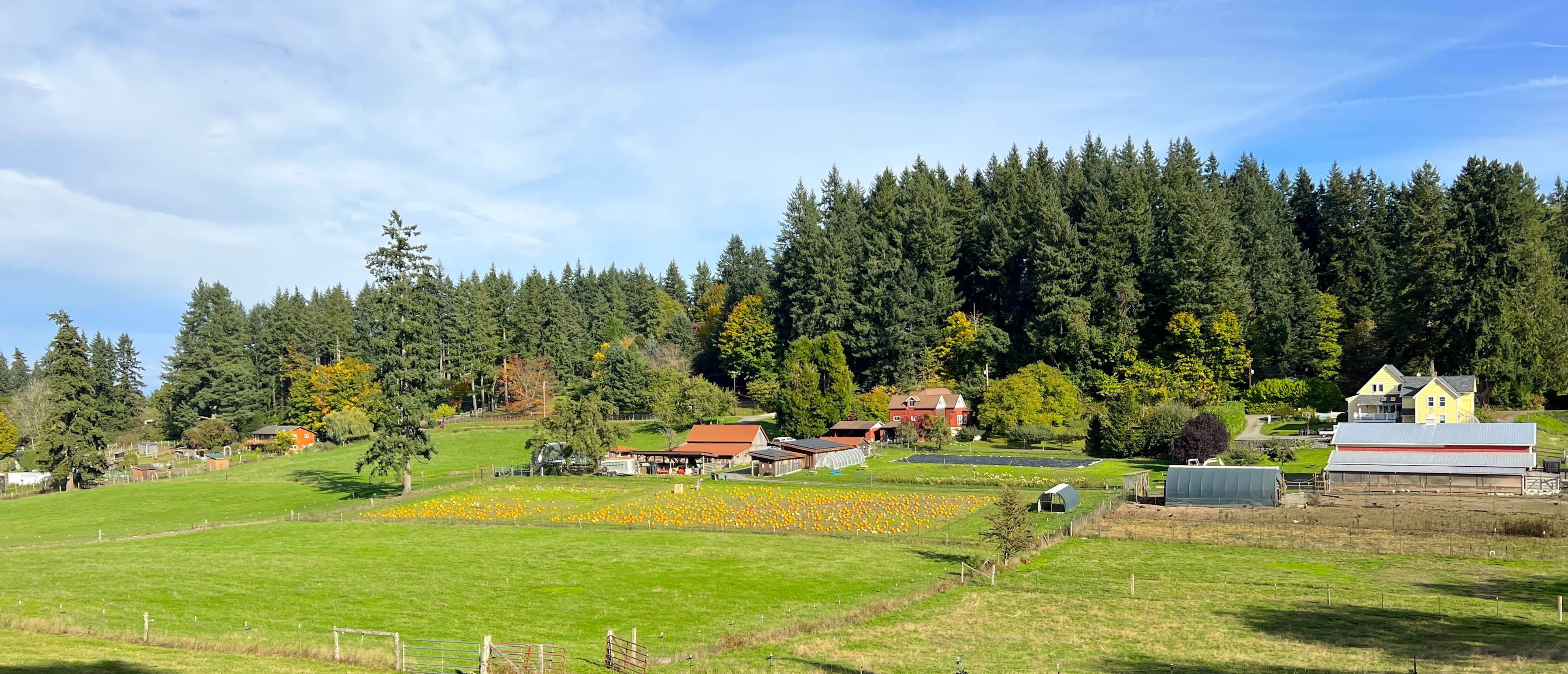 Winney Farm