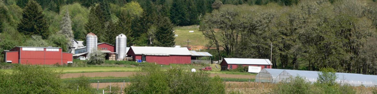 Winter Green Farm photo 2