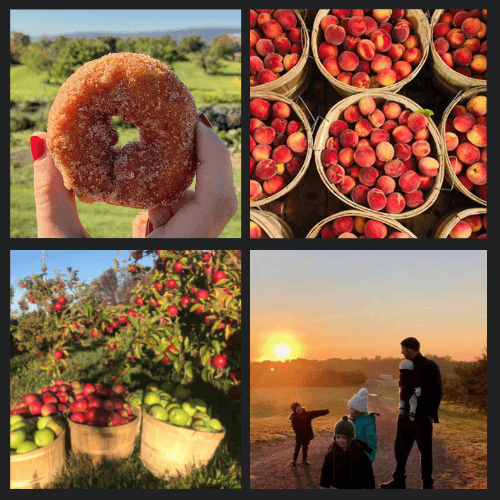 Wright's Farm and Market photo 2