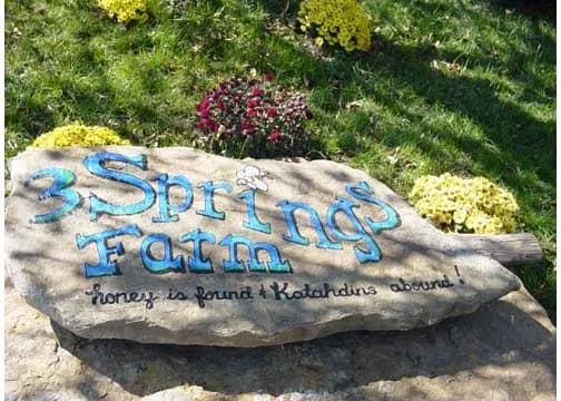 WV 3 Springs Farm photo 2