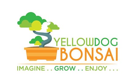 Yellowdog Bonsai
