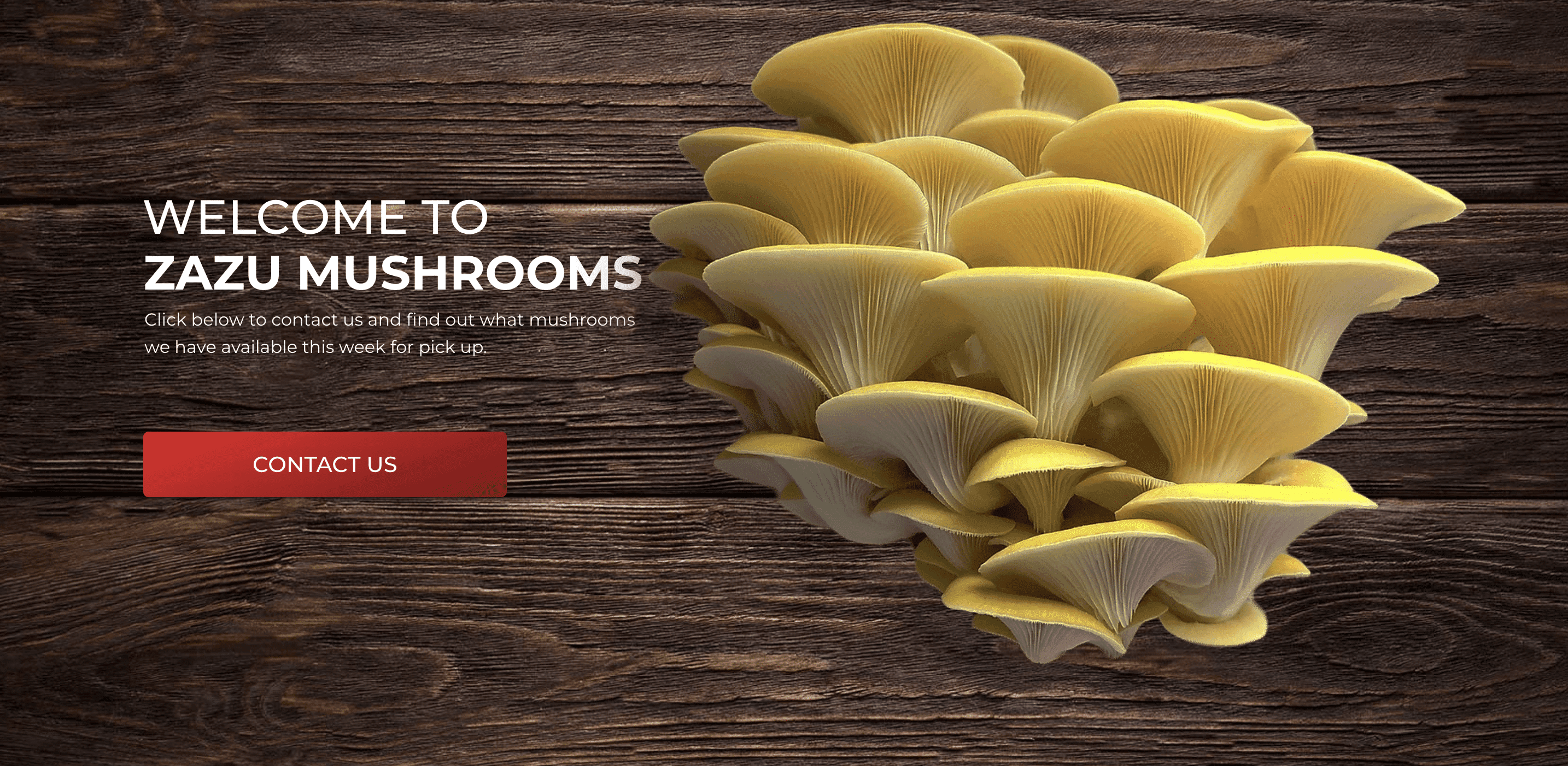 Zazu Mushrooms