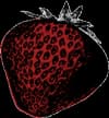 Adam's Berry Farm