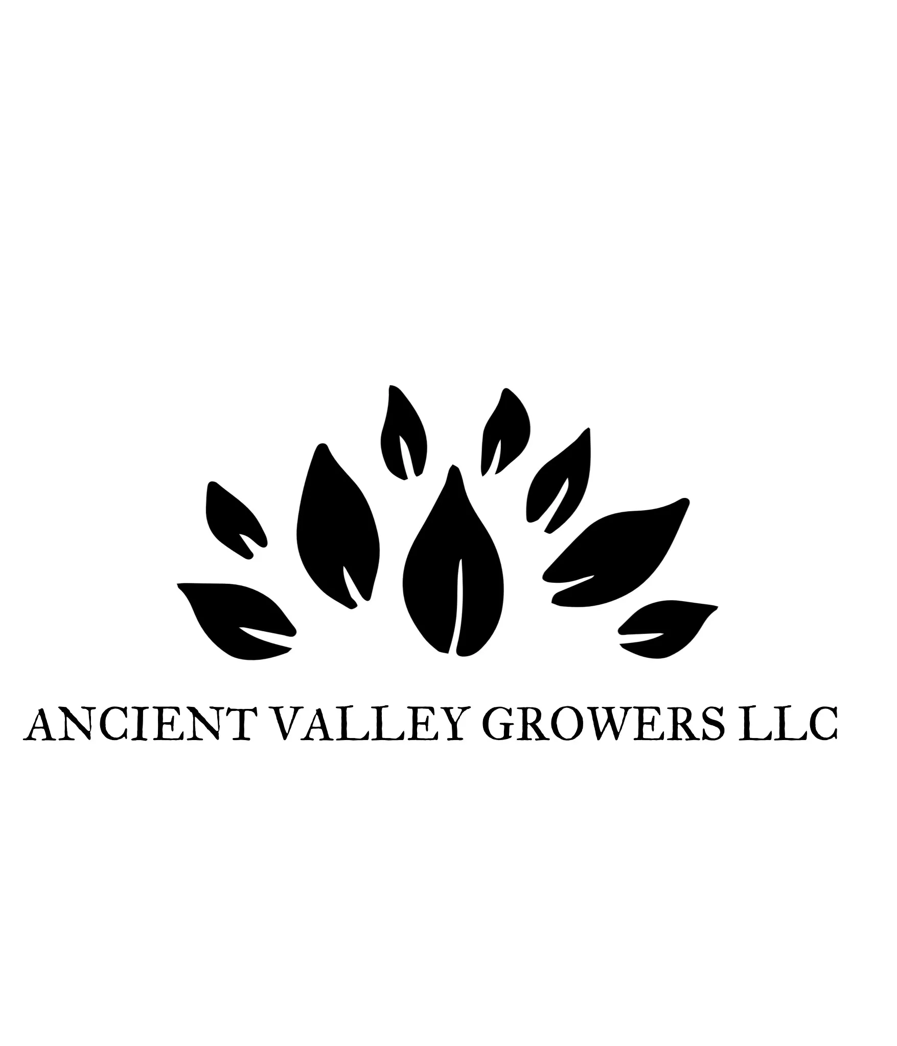 ANCIENT VALLEY GROWERS LLC