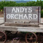 Andy's Orchard