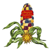 Angie's Tamales