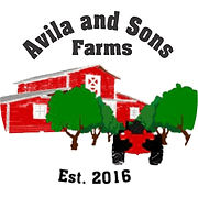 Avila and Sons Farms