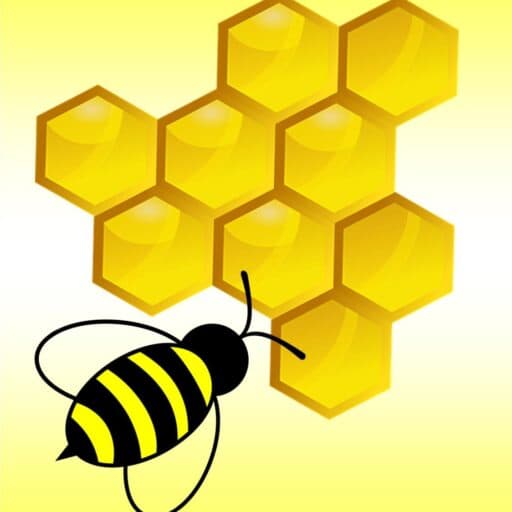 Becky's Birds and Bees
