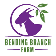 Bending Branch
