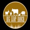 Big Leap Ranch
