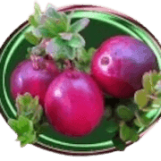 Bloom Creek Cranberries