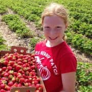 Bures Berry Patch