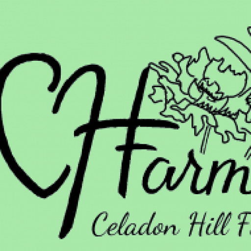 Celadon