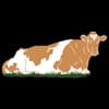 Chesapeake Gold Farms Inc