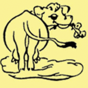 Cloudland Farm